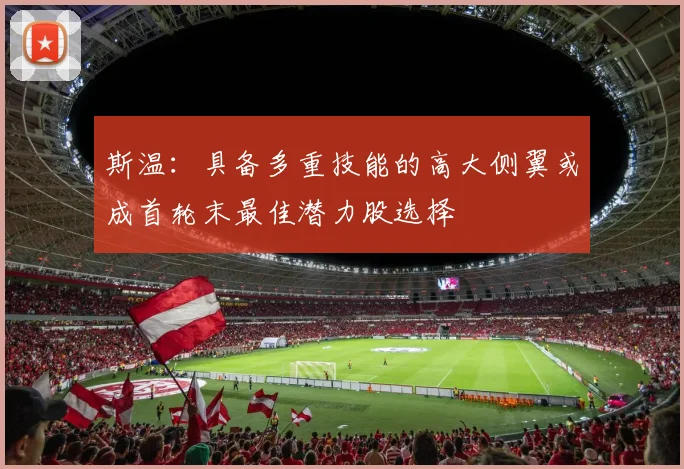斯温：具备多重技能的高大侧翼或成首轮末最佳潜力股选择
