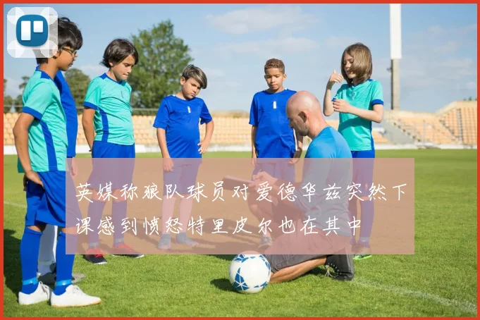 英媒称狼队球员对爱德华兹突然下课感到愤怒特里皮尔也在其中