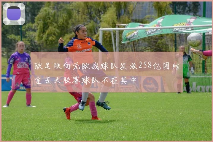 欧足联向无欧战球队发放258亿团结金五大联赛球队不在其中